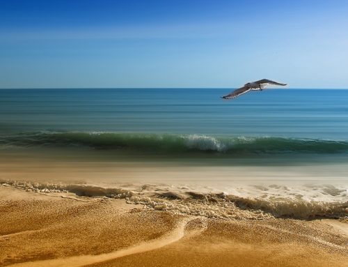 Pinamar al día